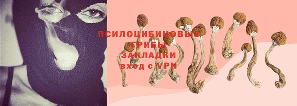 мдма Няндома