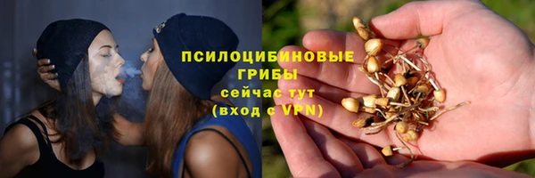 не бодяженный Арсеньев